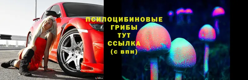 Галлюциногенные грибы MAGIC MUSHROOMS  Грайворон 